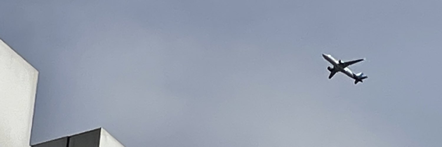 Ilia Mchedlishvili banner