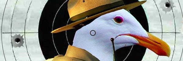 reimer_kettel Profile Banner