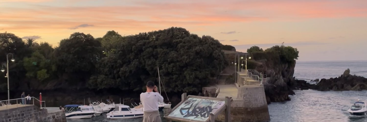 LittleMoled's profile banner image
