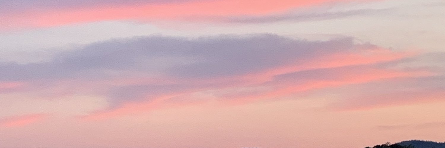 LisaGierula's profile banner image