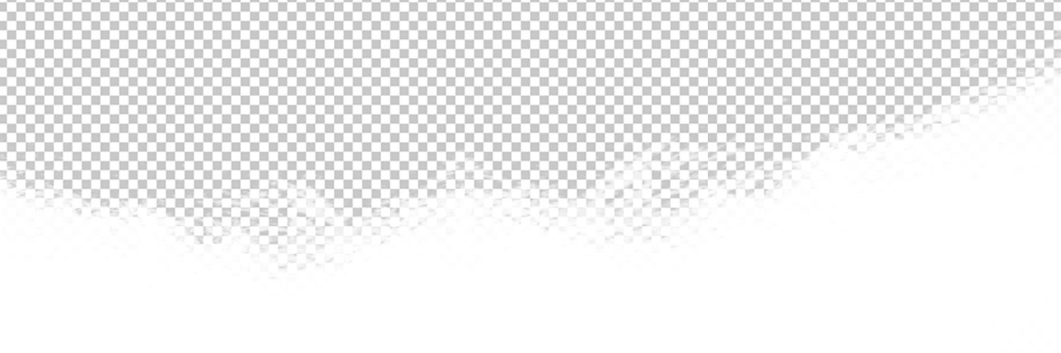 Diego banner