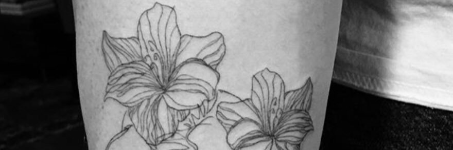 Amontexd's profile banner image