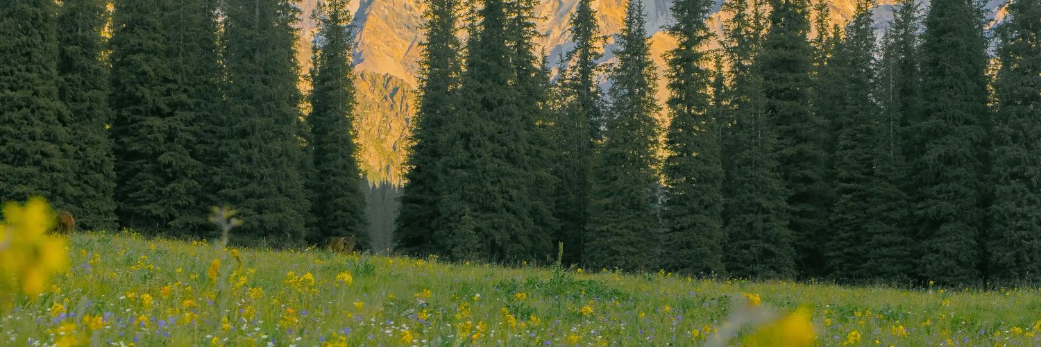 Eli_Sanche's profile banner image