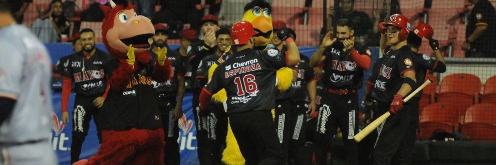 Mayos Navojoa Fans🪓🔥 banner