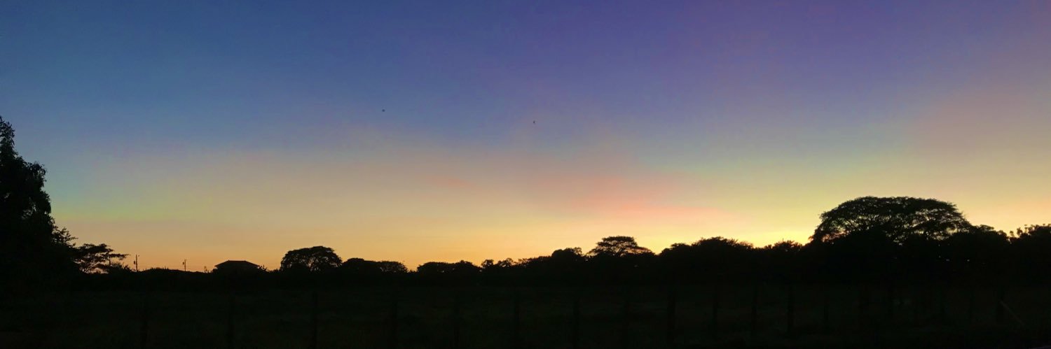 hillary_botello's profile banner image