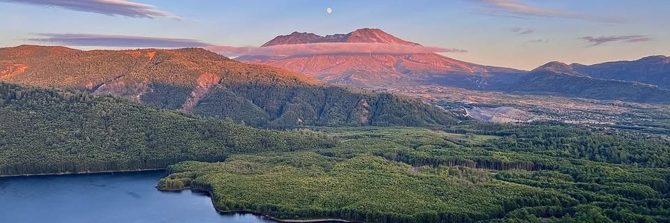 Forest Service NW banner