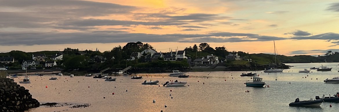 Aisling O’Connell banner
