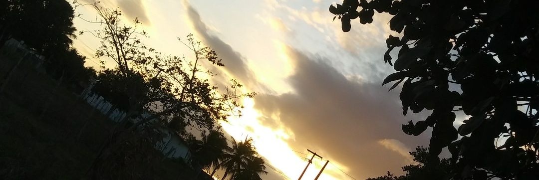 SandraTavares9's profile banner image