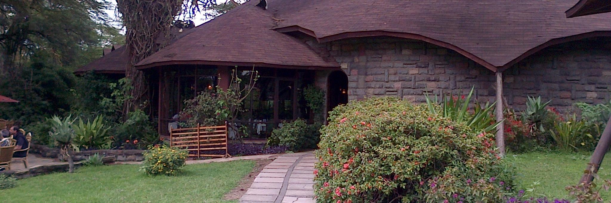 Daphne Nasasira banner