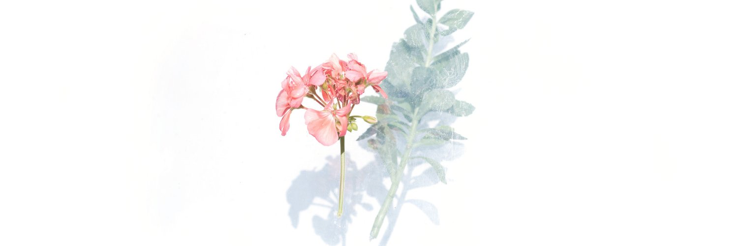 _Chloelewington's profile banner image