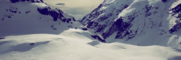 tomhaga Profile Banner