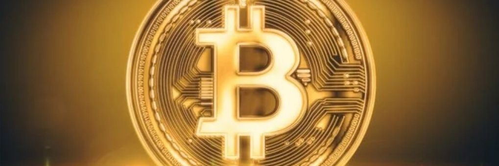 itradeforprofit's profile banner image
