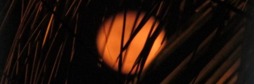r_aloha_'s profile banner image