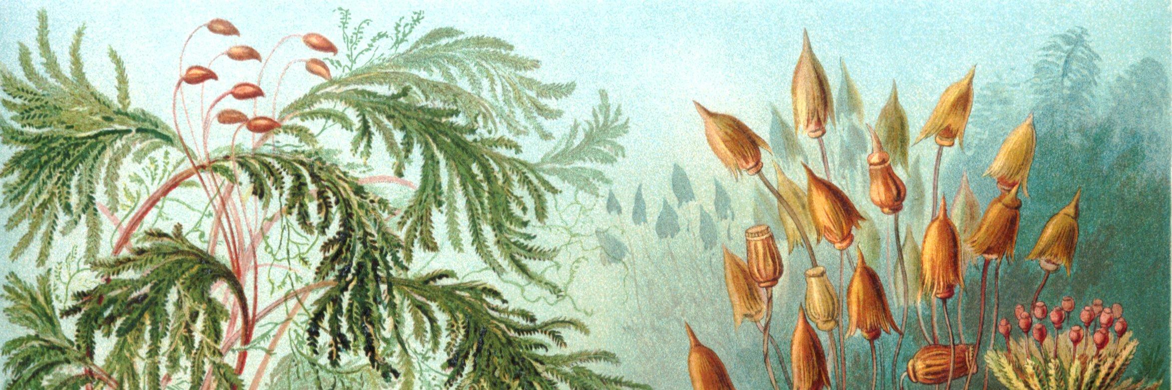 tedwardhowell's profile banner image