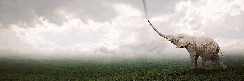 MileyAlexia's profile banner image