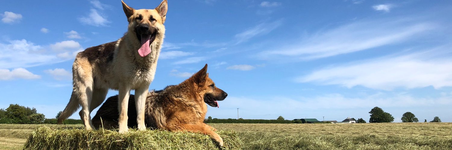 Maplehurst Farm banner