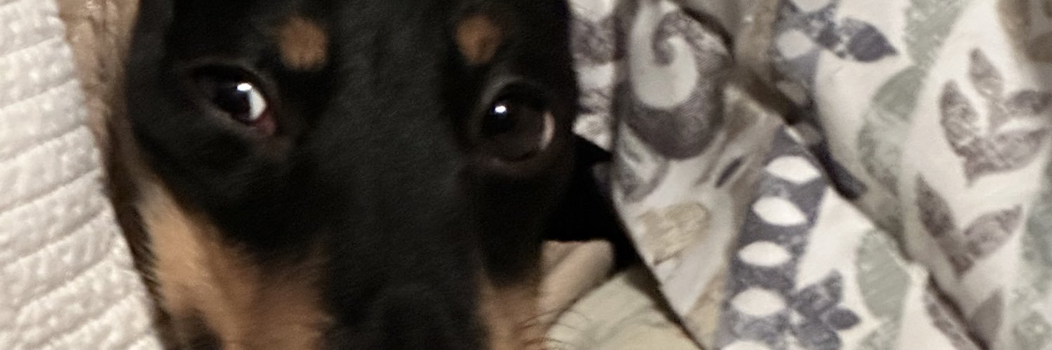 terrydisbell's profile banner image