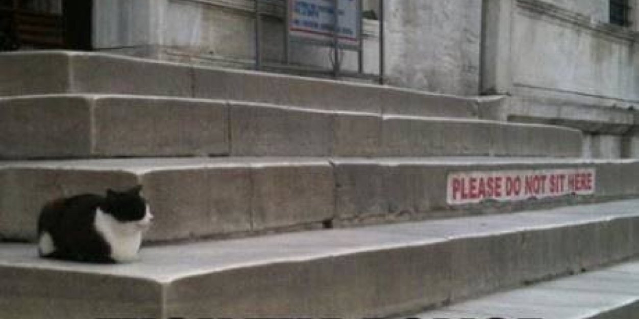 Justice Jimmy #NinaForCongress #GeneralStrike banner