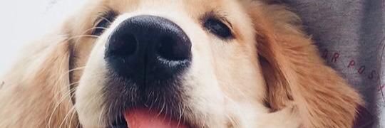 kaylapayne895's profile banner image