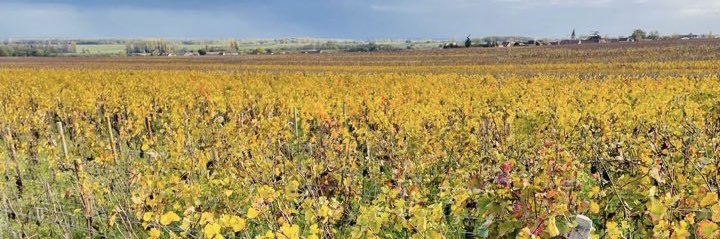 𝖒𝖆𝖗𝖎☆ banner