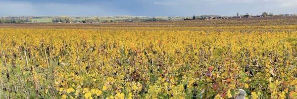 ma06182 Profile Banner