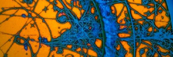 massemanet Profile Banner