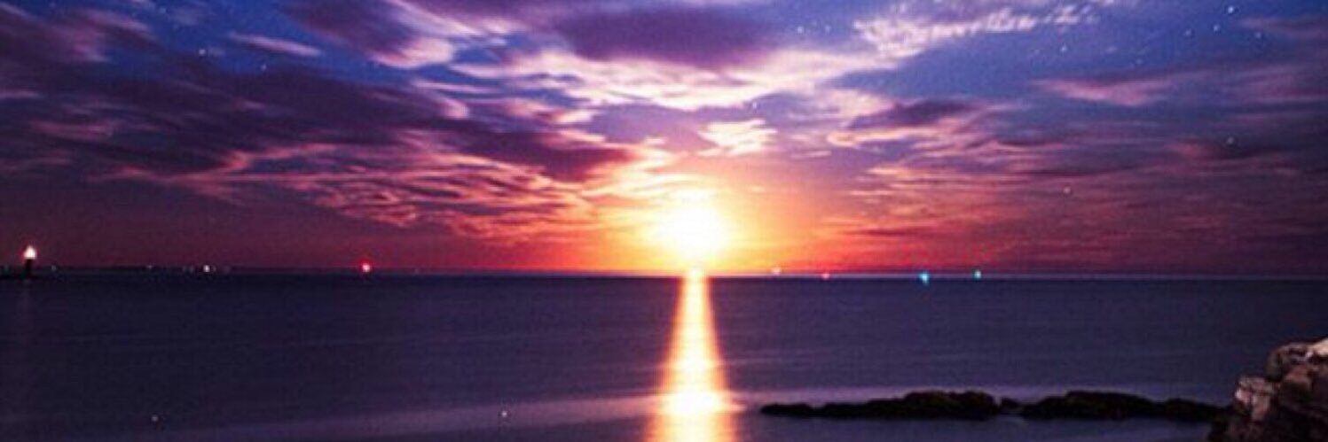 saechon_'s profile banner image