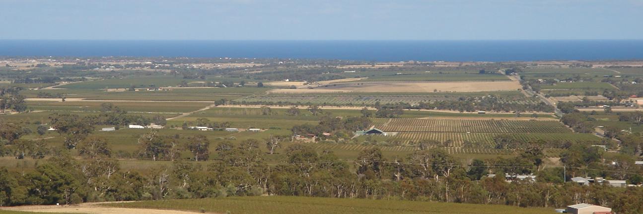 Peter Butcher banner