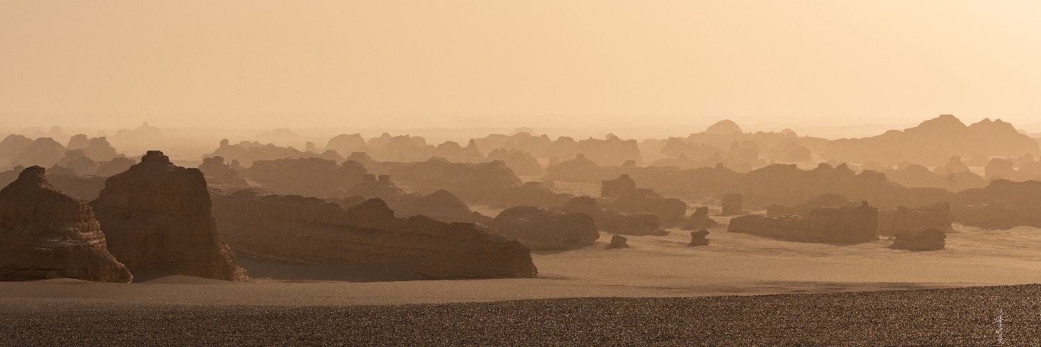 大毛•darmau banner