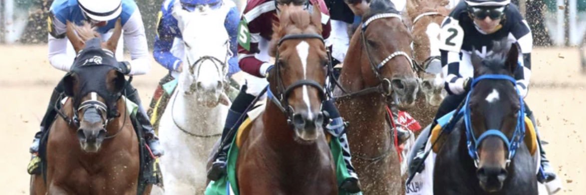 Staton Flurry banner