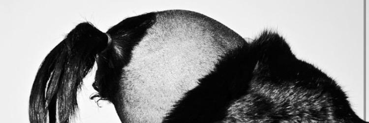 elviszavaleta's profile banner image