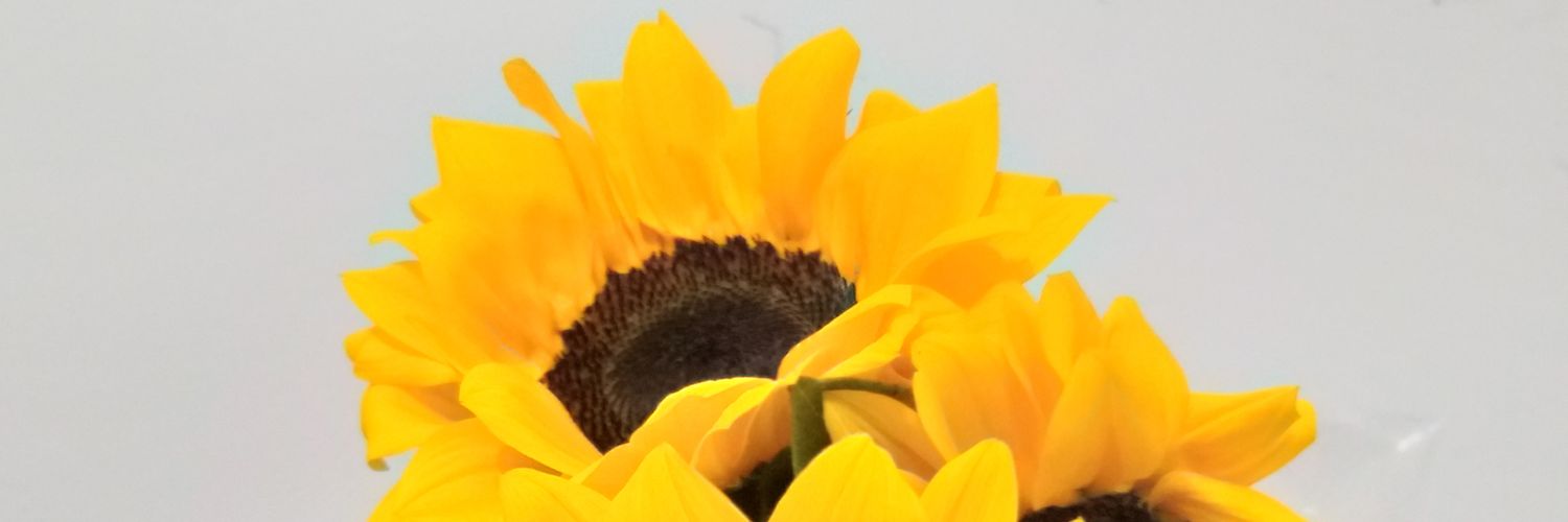 Maarii_Q's profile banner image