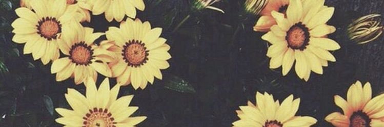 TaryynElizabeth's profile banner image