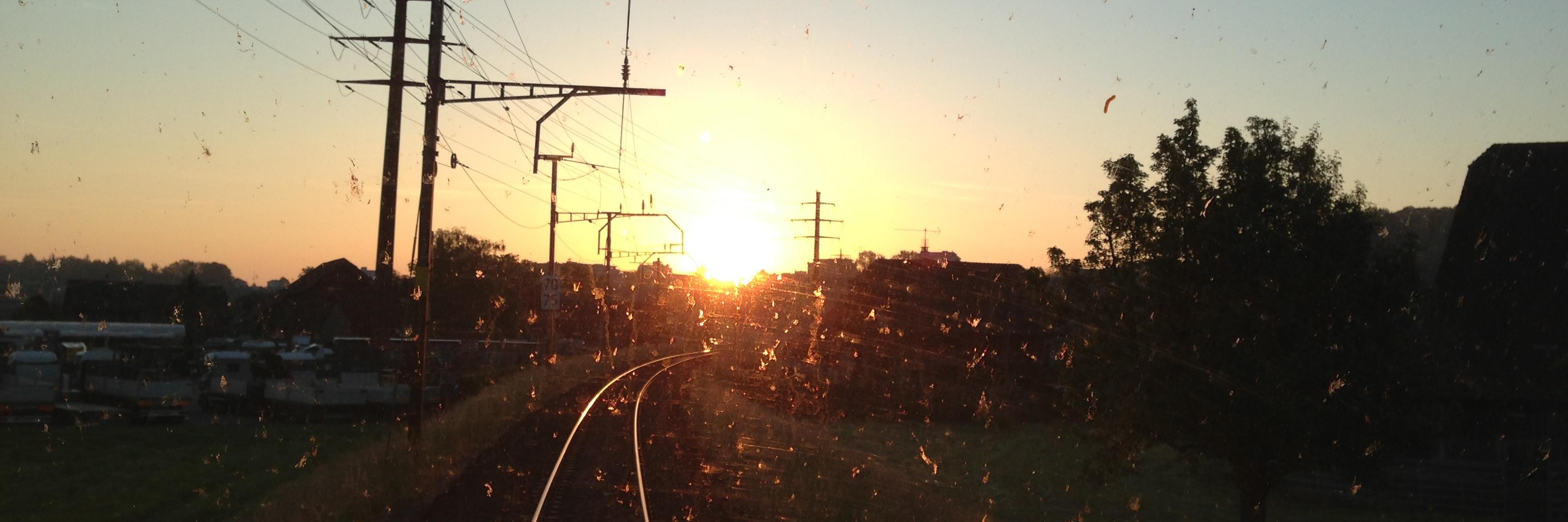 PeterRichard3's profile banner image