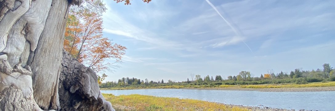 Krista Nowlan banner