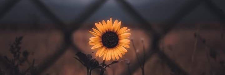 KayleMarie72's profile banner image