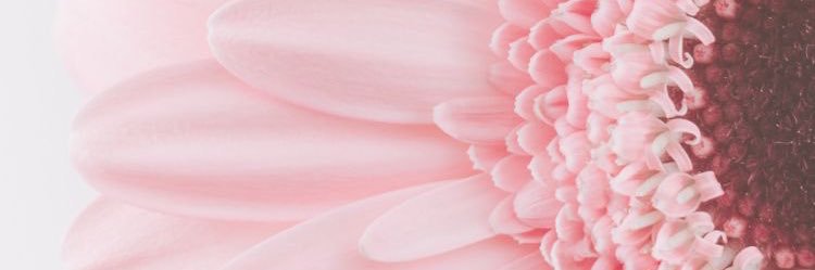 SandyTDuong's profile banner image