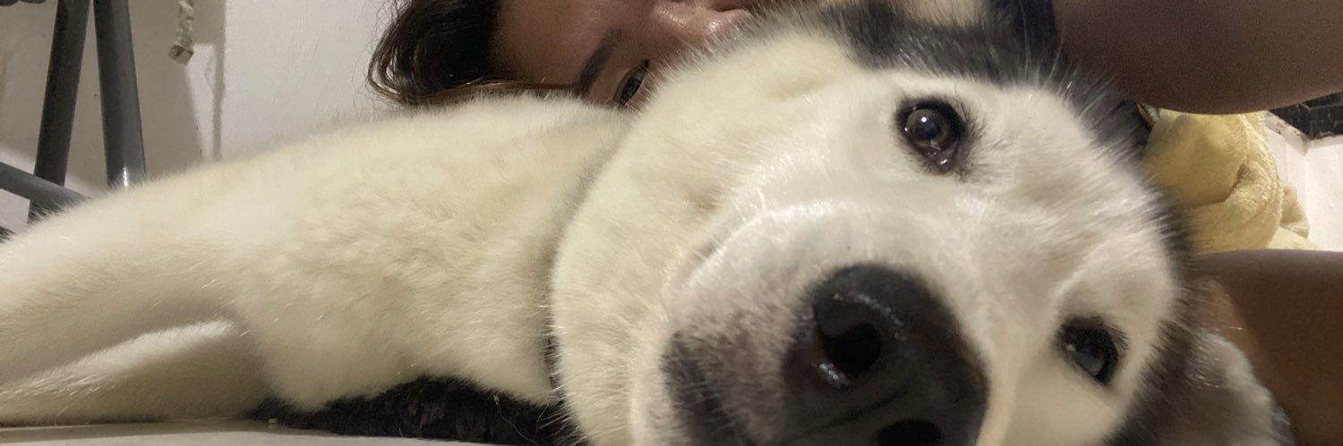 bbbashie's profile banner image