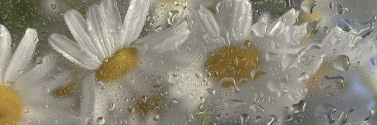 m banner