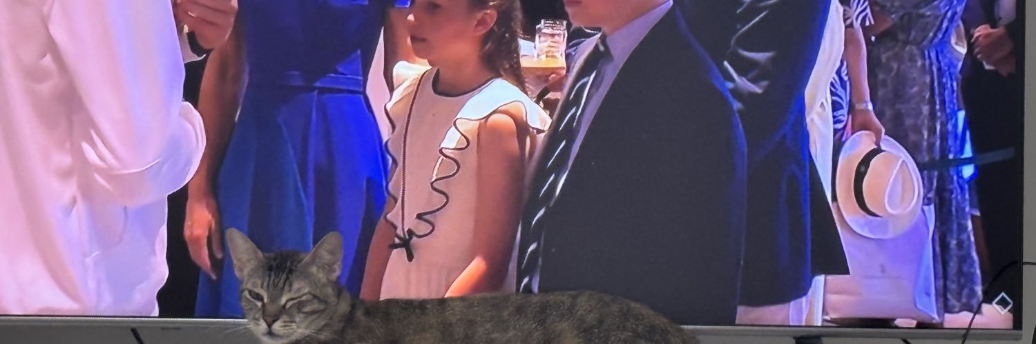 Luca Brancher banner