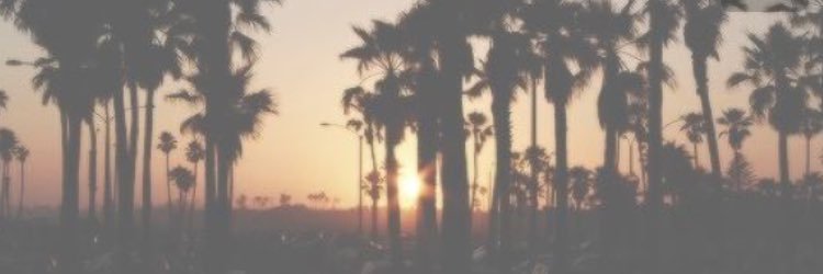 thehater96's profile banner image