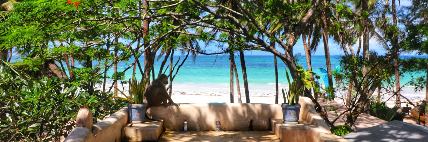 Paul Brimble 🇺🇦 banner