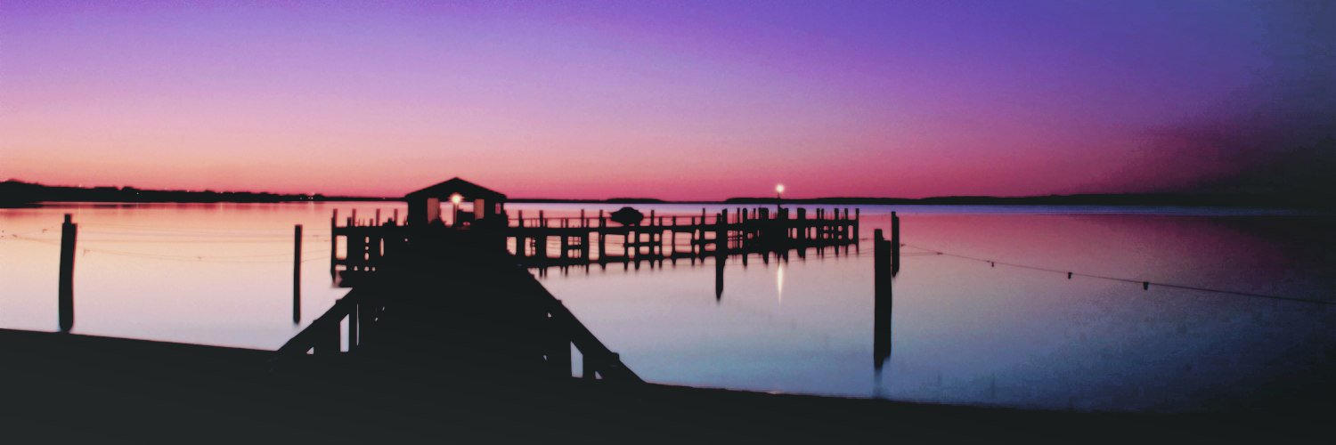 Fuzzythespyder's profile banner image
