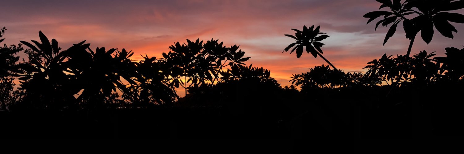 Ana Sofía Romero banner