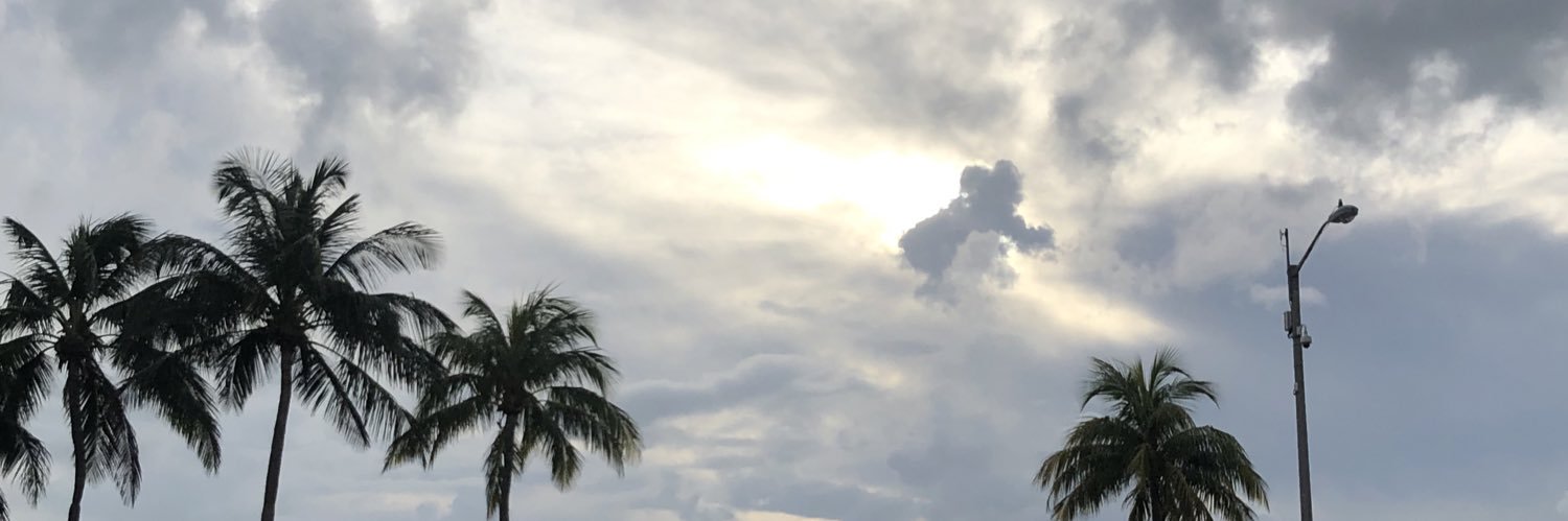 LexiSosa's profile banner image