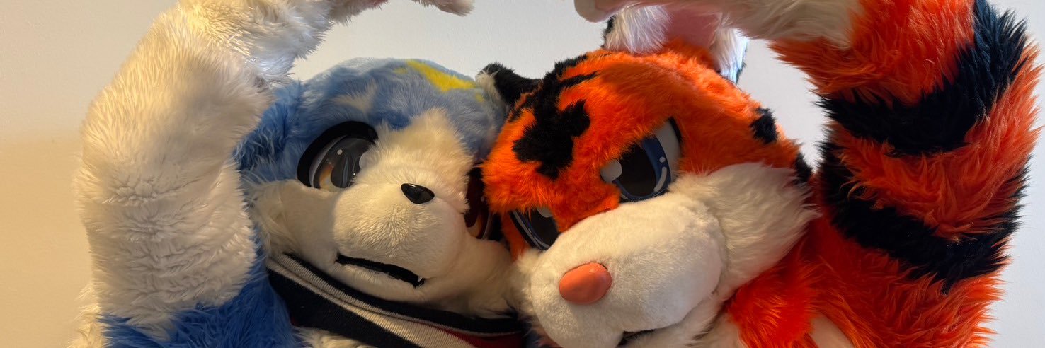 虎猫リョウタ banner