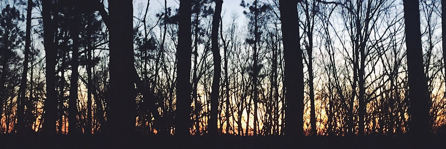 HunterrBerry's profile banner image