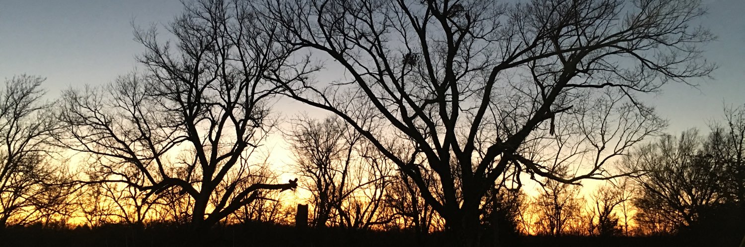 Nancy_Nungee's profile banner image