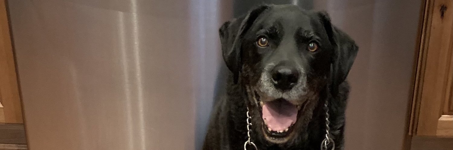 Tristan Snyder banner