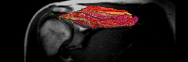 SamWardUCSD Profile Banner